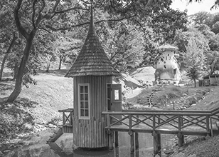 モノクロ化 (輝度)