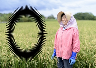 ウニフラッシュ