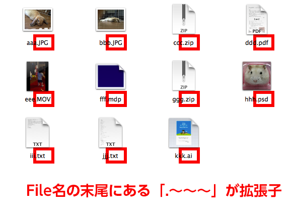 図：ファイル名の末尾にある「.〜〜〜」が拡張子