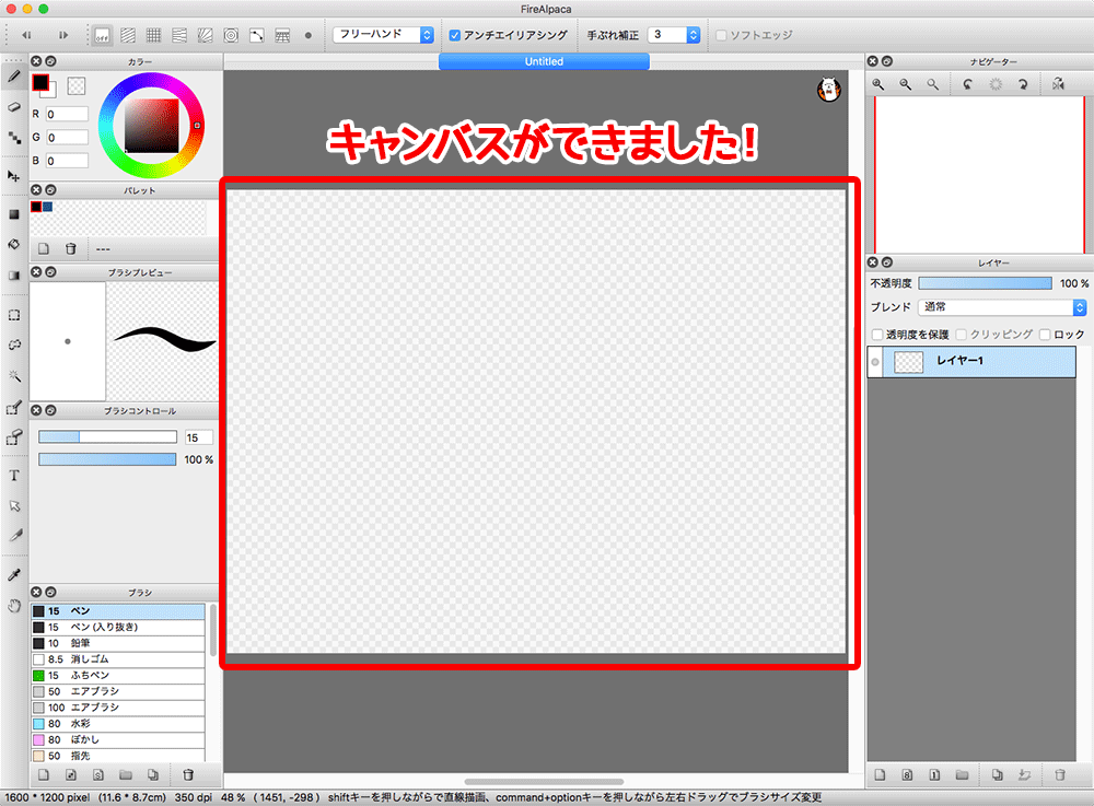 図：キャンバスを作成した状態