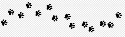 Dog Footprint