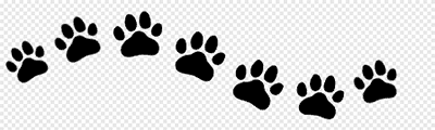 Dog Paw