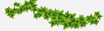hb-Azalea leaf (dense)