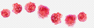 Rose (Red / Stamp)