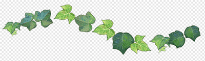 Leaf-Ivy