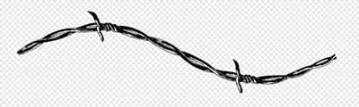 Barbed Wire2