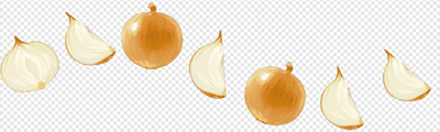 Onion