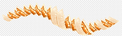 Gyoza Dumpling