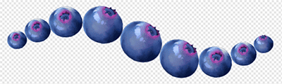 Blueberry