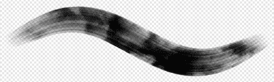 Thick Art Brush
