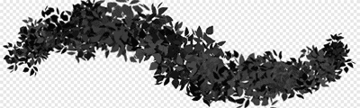 kr-Leaves(less dense)