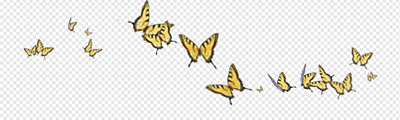 Swallowtail Butterfly (spray)