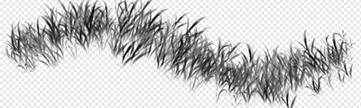 kr-雑草