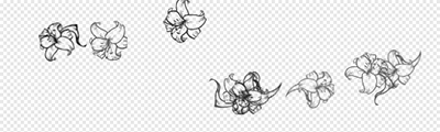 Japanese Pattern: Lily (Monochrome)