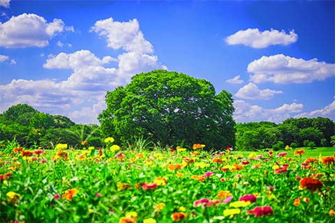 Image editing sample2