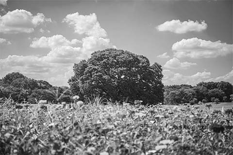 Image editing sample3