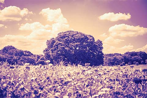 Image editing sample4