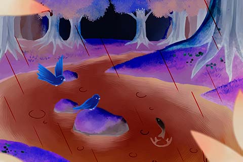 Negative-Positive Inversion