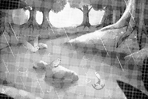 網點抖動 [MFG]