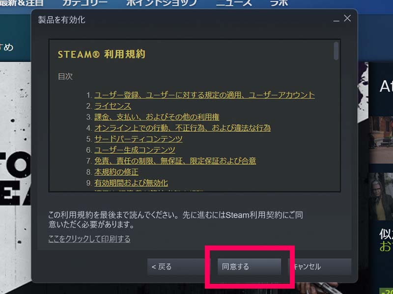 Steam利用規約に「同意する」をクリックします。